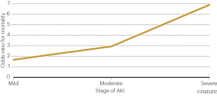 Line chart comparing the odds ratio for mortality and the stage of acute kidney injury