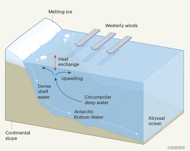 Southern Ocean heat sink hindered by melting ice