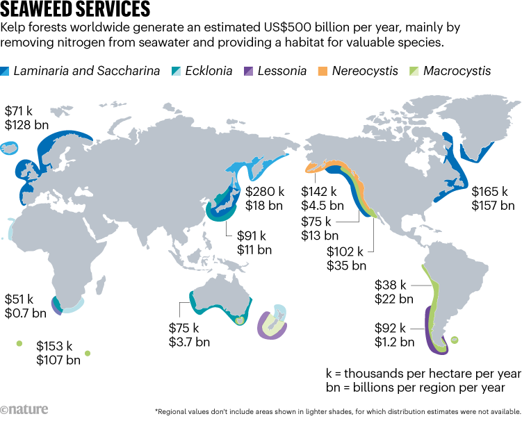 SEAWEED SERVICES. Map showing distribution of the estimated US$500 billion per year that kelp forests generate.