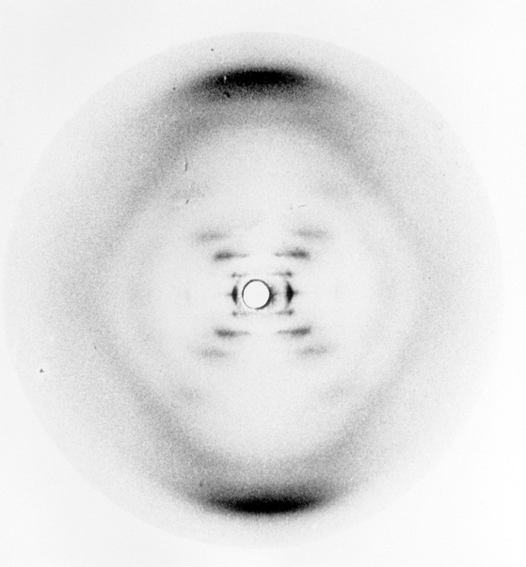 Black and white X-ray diffraction photograph of DNA from 1952