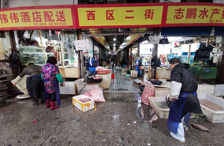 View of Wuhan Huanan Wholesale Seafood Market in 2019.