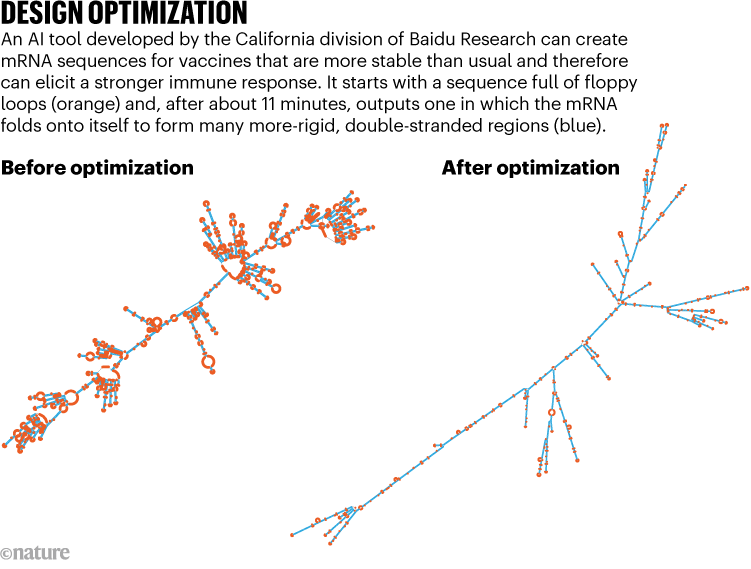DESIGN OPTIMIZATION. Graphic shows a before and after optimization of an mRNA sequence using a new AI tool.