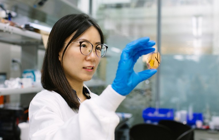 Yichen Cai in the KAUST labs holding a silicon wafer.