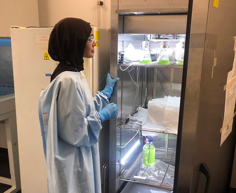 Zainab Mustafa stood at the open door of an incubator checking algae samples in glass flasks