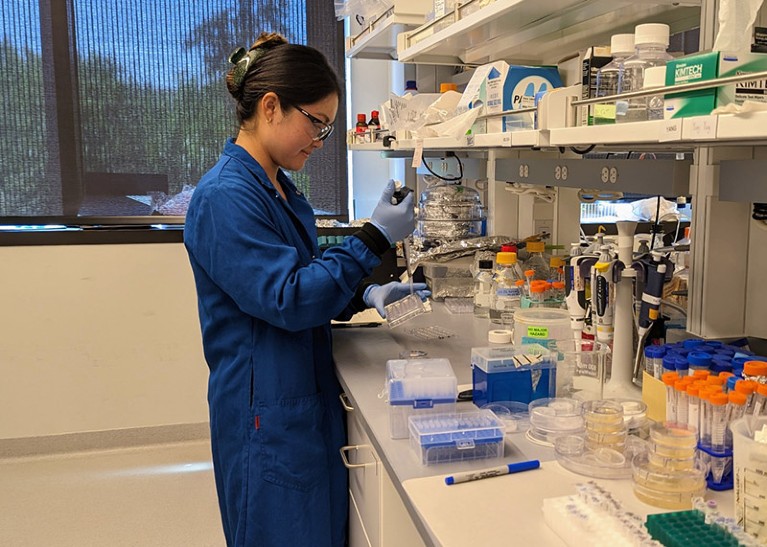 Melissa Nakamoto with blue lab coat pipetting at lab bench