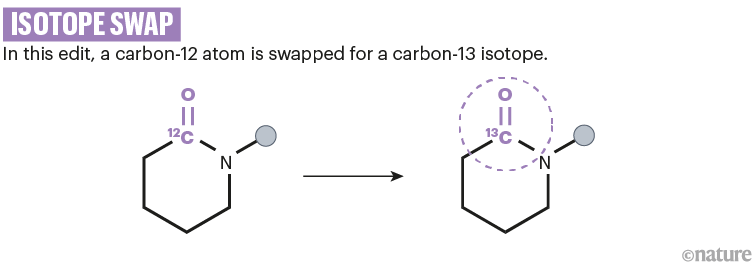 Isotope swap: A chemical scheme that shows how a a carbon-12 atom is swapped for a carbon-13 isotope.