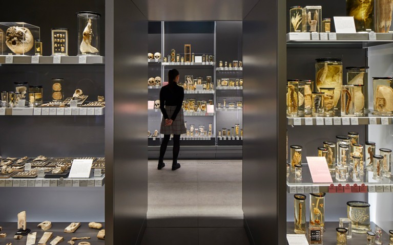 Specimens are displayed alongside instruments, equipment, models, paintings and archive material.