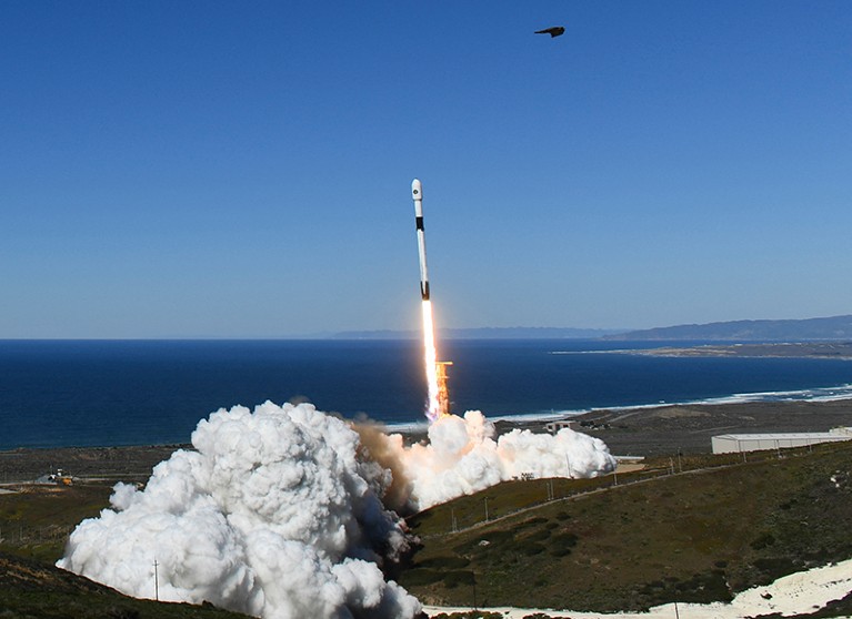 A bird takes flight as a SpaceX Falcon 9 rocket launches at Vandenberg US Space Force Base.