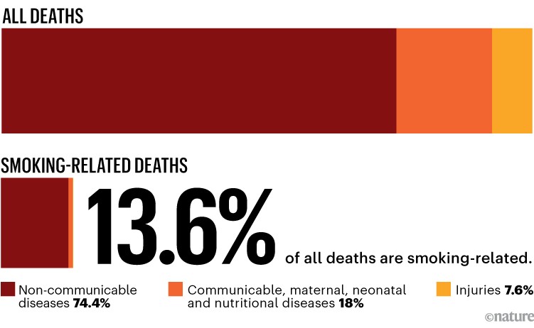 Bar chart showing that 13.6% of all deaths are smoking-related.