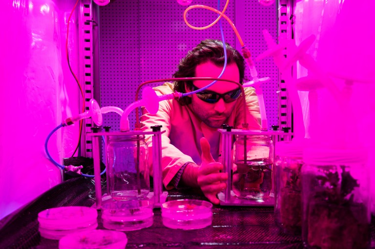 Lucas van der Zee wears sunglasses while carrying out an experiment under bright pink lighting