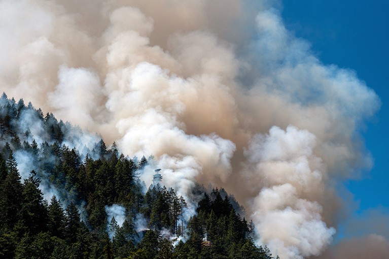 Smoke from the Cameron Bluffs wildfire near Port Alberni, British Columbia, Canada.
