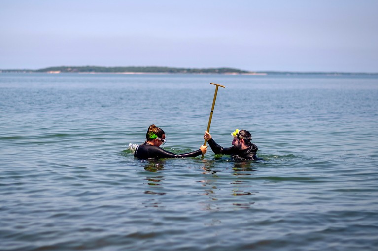 two researchers in wetsuits submerged up to their upper torsos taking sediment samples from the sea