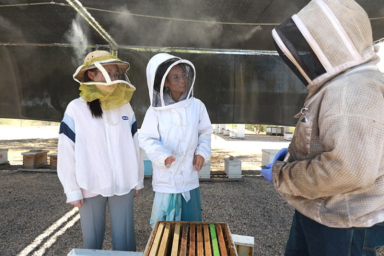 Yun Kong with two colleagues wearing bee suits inspecting a bee hive