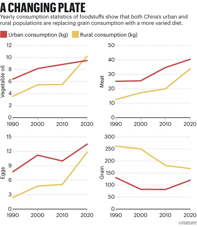 Gráficos de cuatro líneas que muestran que tanto la población urbana como la rural de China están reemplazando el consumo de granos con una dieta más variada.