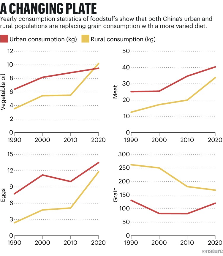 四线图表显示,中国的城市和农村人口正在取代粮食消费更多样化的饮食。