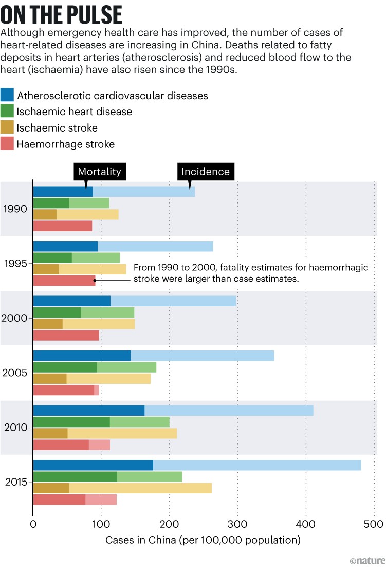 A bar chart showing that the number of cases of heart-related diseases are increasing in China, and the mortality rate.