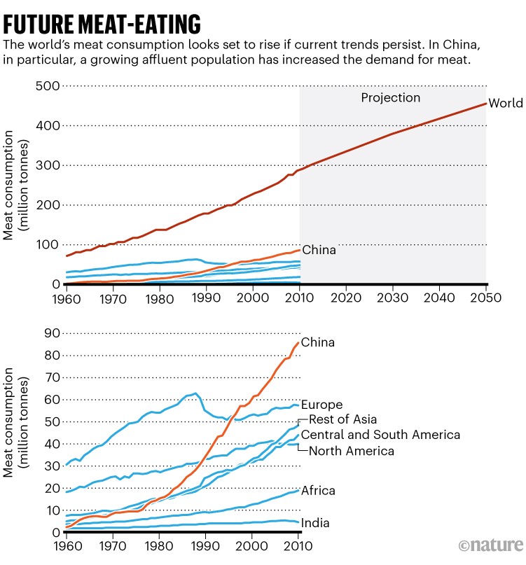 Future meat-eating: Chart showing meat consumption in multiple regions from 1960 to 2010 and a projection of global trends.