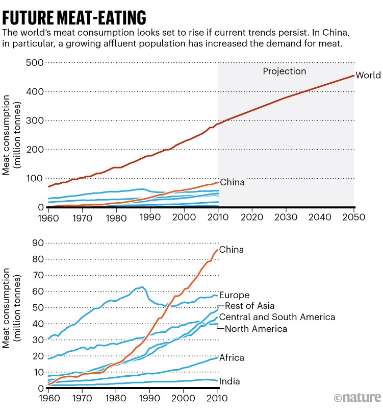 未来食肉:图表显示在多个地区从1960年到2010年,肉类消费全球趋势的预测。