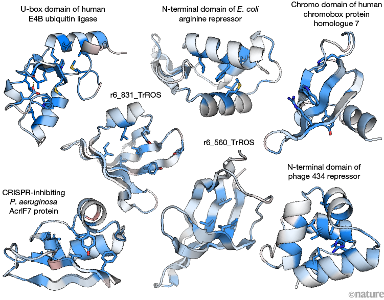 Protein folding stability measured at scale