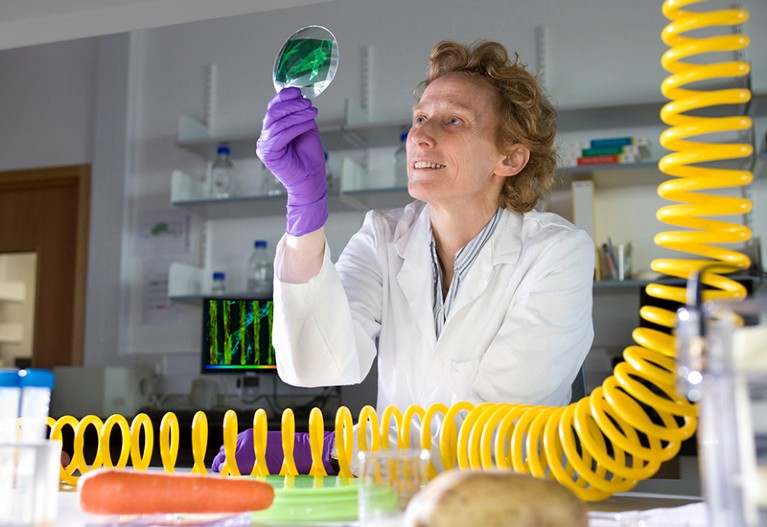 Professor Donald in the laboratory looking at an image of a fluorescently stained mammalian cell (fibroblast).