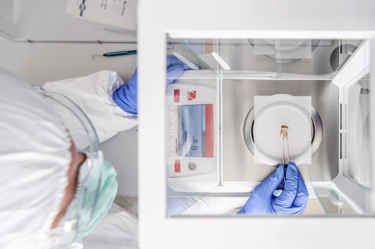 An over-head view of a scientist wearing PPE holding a tooth with tweezers