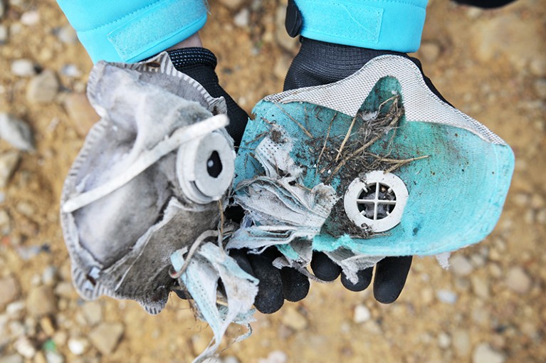Gloved hands holding face masks found by volunteers during the collection of plastic and microplastic
