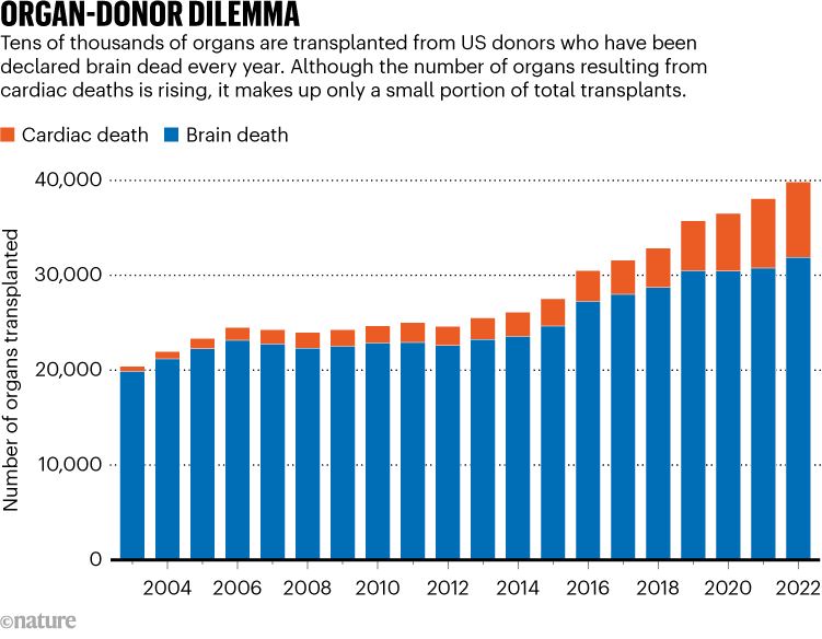 ORGAN-DONOR DILEMMA. Graphic shows the rise in organs transplanted from US donors who have been declared brain dead.