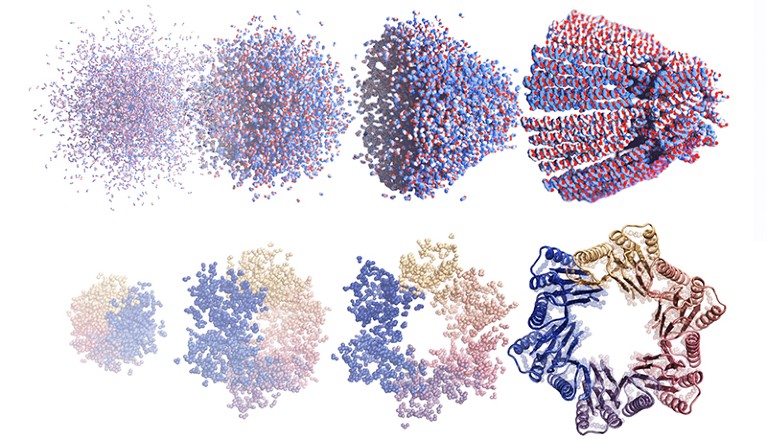 Sequential images showing the development of two protein assemblies designed with 'diffusion'-based AI art generators.