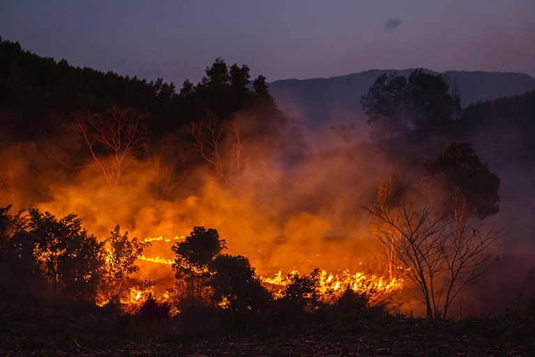 A forest fire in Vietnam pictured at night.