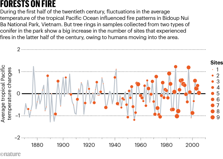 FORESTS ON FIRE. Chart shows human influenced fire patterns and temperature changes in Bidoup Nui Ba National Park, Vietnam.