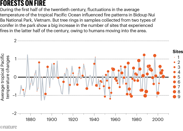 Rings of fire: centuries of tree growth show wildfires increasing