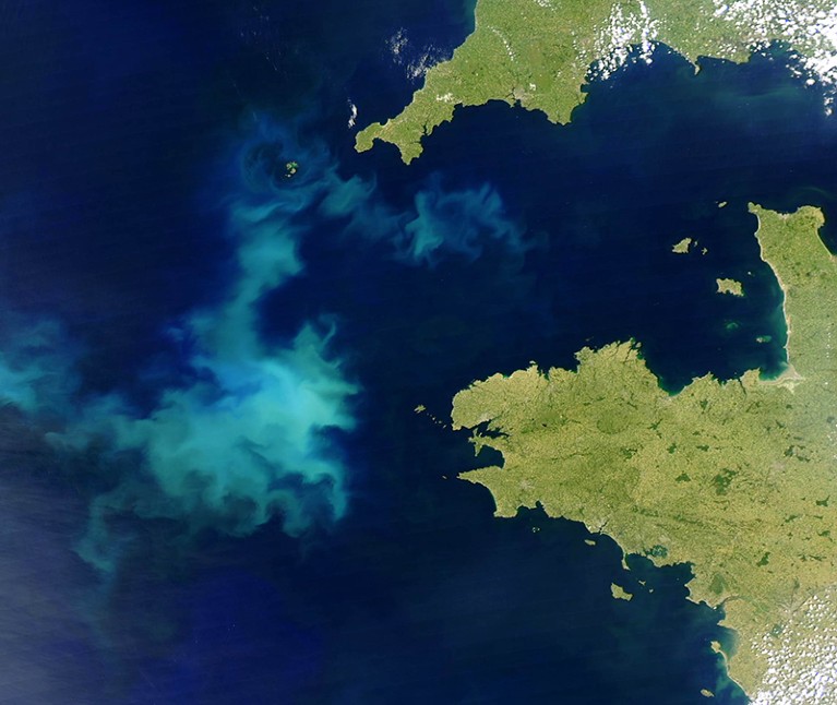 A NASA Aqua satellite image released 16 June, 2004 shows a Coccolithophore bloom off Brittany, France.