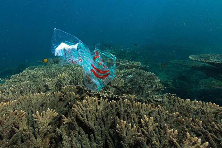 Una bolsa de plástico transparente con rayas rojas flota sobre bancos de coral marrón.