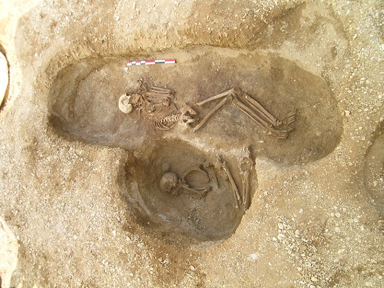 A top view of two sets of human remains at the Gurgy ‘les Noisats’ burial site.