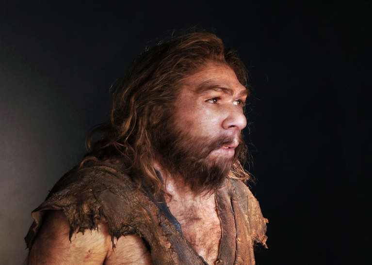 Reconstruction of a Neanderthal (Homo neanderthalensis) based on the La Chapelle-aux-Saints fossils.