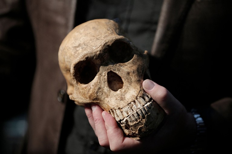 Professor Berger holds a replica skull of "NEO" the Homo Naledi Hominin near Johannesburg in 2017.
