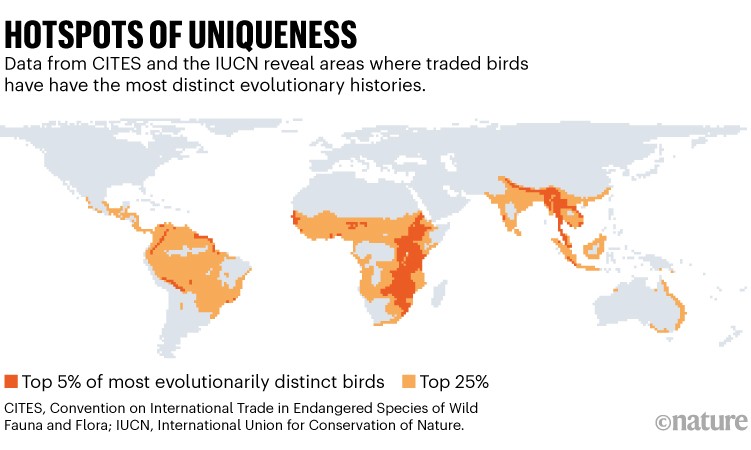 World map showing areas locations where traded birds have the most distinct evolutionary histories.