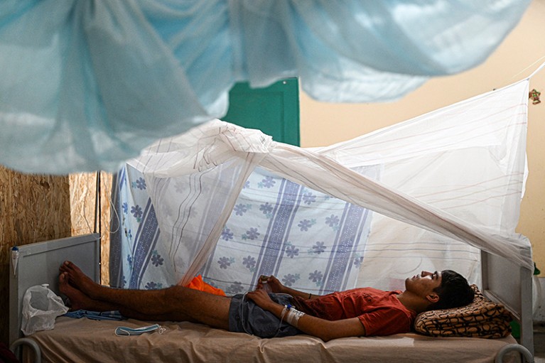 A person with dengue resting under a mosquito net in a hospital.