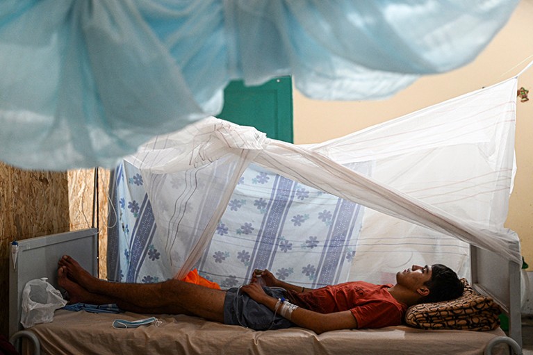 Dengue is breaking records in the Americas — what's behind the surge?