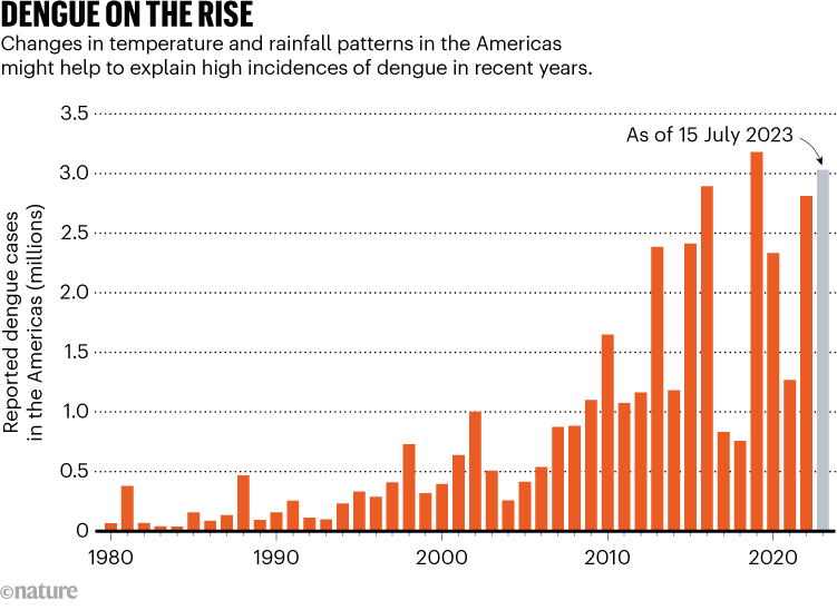 US+warned+as+dengue+cases+rise+worldwide+%E2%80%93+NBC+6+South+Florida