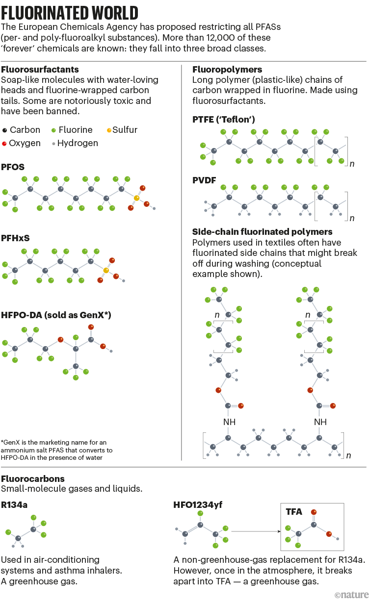 Graphic that shows the structures of some of the 12,000 fluorinated PFAS structures used worldwide.