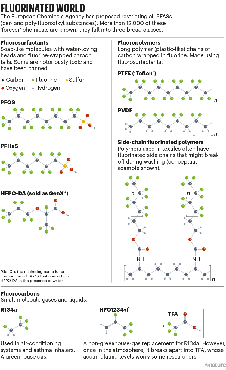 Fluorinated world: graphic that shows the structures of some of the 12,000 fluorinated PFAS structures used worldwide.