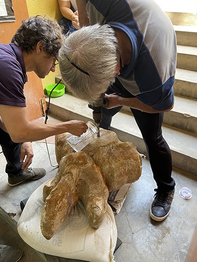 A scientist drills into a huge bone to take a sample.