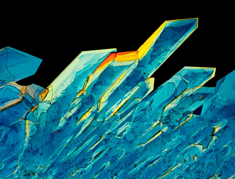 Polarised light micrograph of crystals of the hormone insulin shown in blue, yellow and orange colours