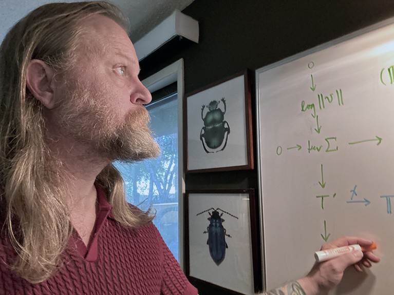 A man writes mathematical equations on a whiteboard, with illustrations of beetles on the wall next to the whiteboard.