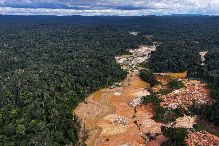 Aerial view of an illegal mining camp during an operation against Amazon deforestation in Roraima State, Brazil.