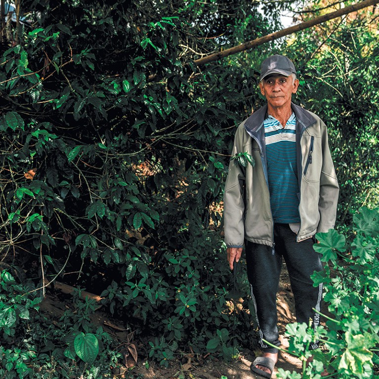 Erney Arboleda stands next to the coffee tree where he was bitten by a snake commonly known as an eyelash viper
