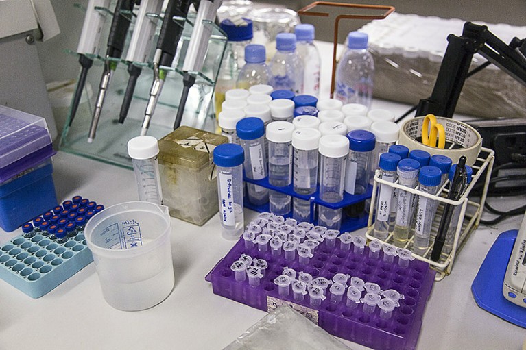 Test samples sit in trays in a microbiology laboratory in Singapore.