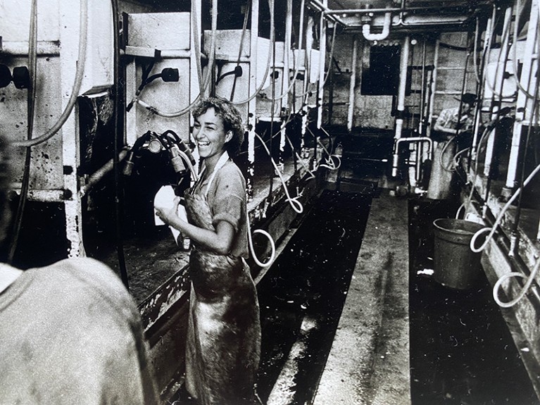 Marion Koopmans milking cows.