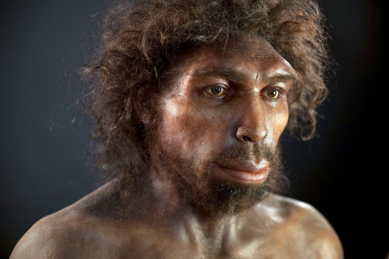 Human ancestors nearly went extinct 900,000 years ago